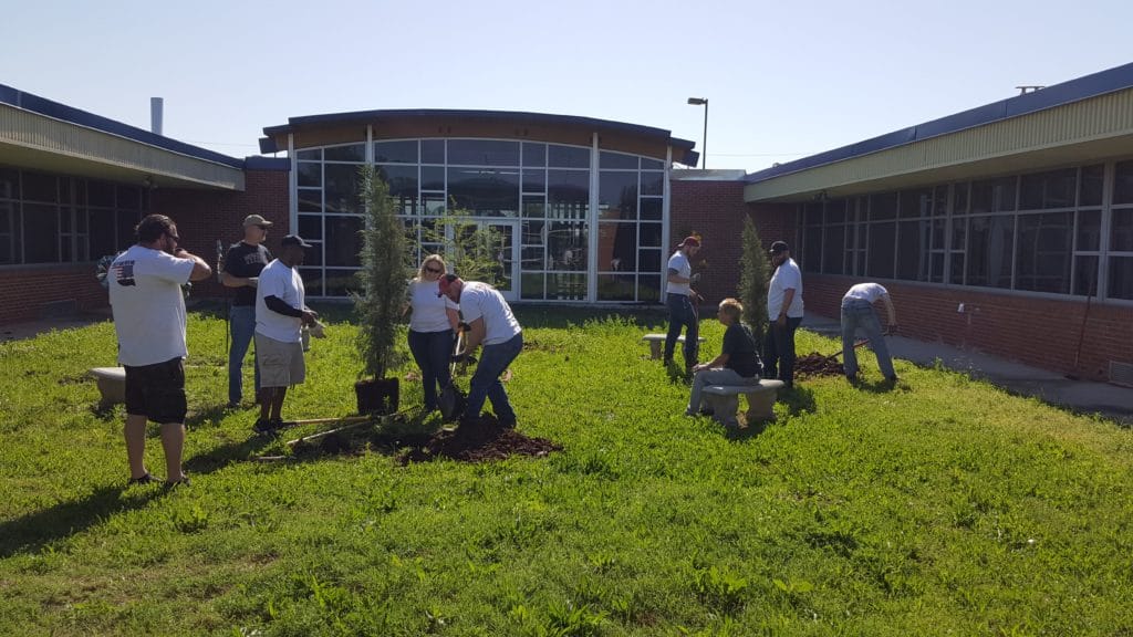 volunteers outside planting trees